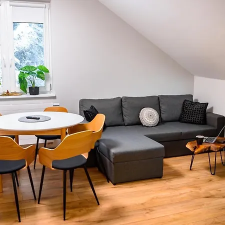 アパートホテル Wojcik -